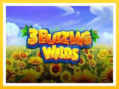 Maszyna do gier 3 Buzzing Wilds z prawdziwymi zakładami