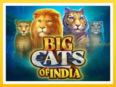 Maszyna do gier Big Cats of India z prawdziwymi zakładami