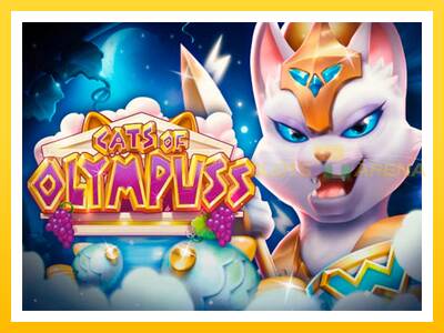 Maszyna do gier Cats of Olympuss z prawdziwymi zakładami