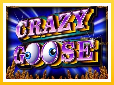 Maszyna do gier Crazy Goose z prawdziwymi zakładami