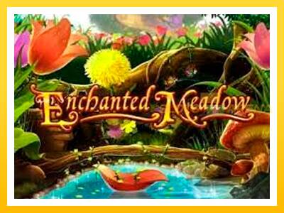 Maszyna do gier Enchanted Meadow z prawdziwymi zakładami