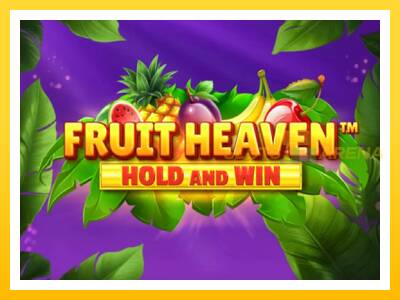 Maszyna do gier Fruit Heaven Hold and Win z prawdziwymi zakładami