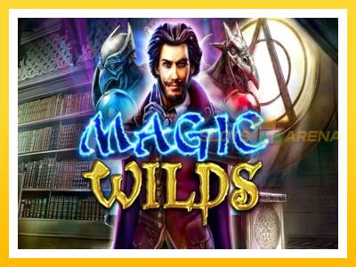 Maszyna do gier Magic Wilds z prawdziwymi zakładami