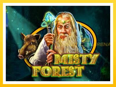 Maszyna do gier Misty Forest z prawdziwymi zakładami