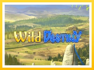 Maszyna do gier Wild Destiny z prawdziwymi zakładami