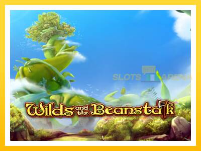 Maszyna do gier Wilds and the Beanstalk z prawdziwymi zakładami